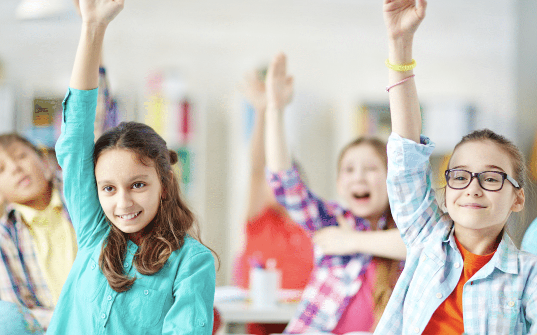 Mitybilt, la qualité au service des écoles 🏫
