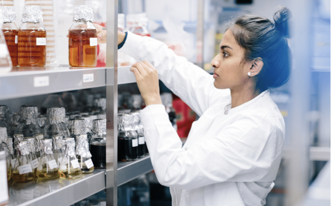 The secrets of efficient cold storage 🌬️❄️