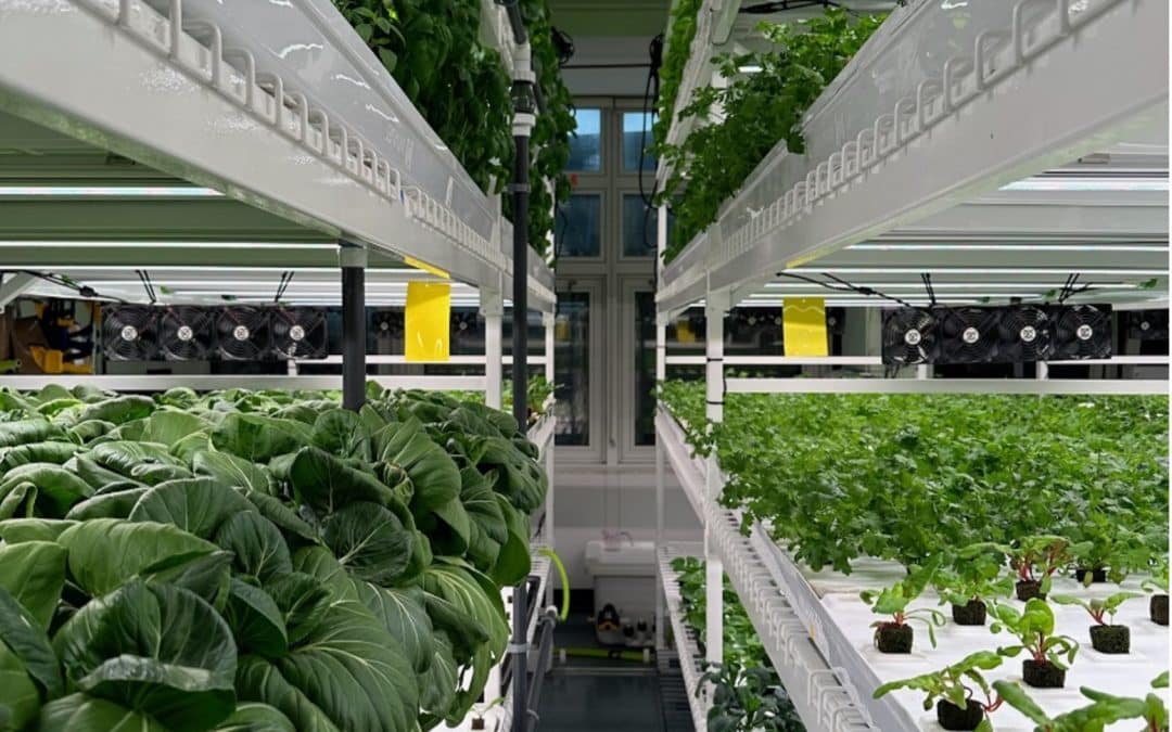 Les systèmes GreenRak et Grow&Roll