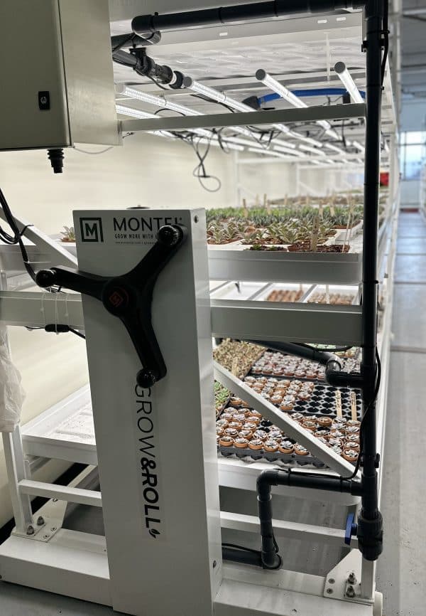 Mobile or fixed shelving system for indoor vertical cultivation - Image 2