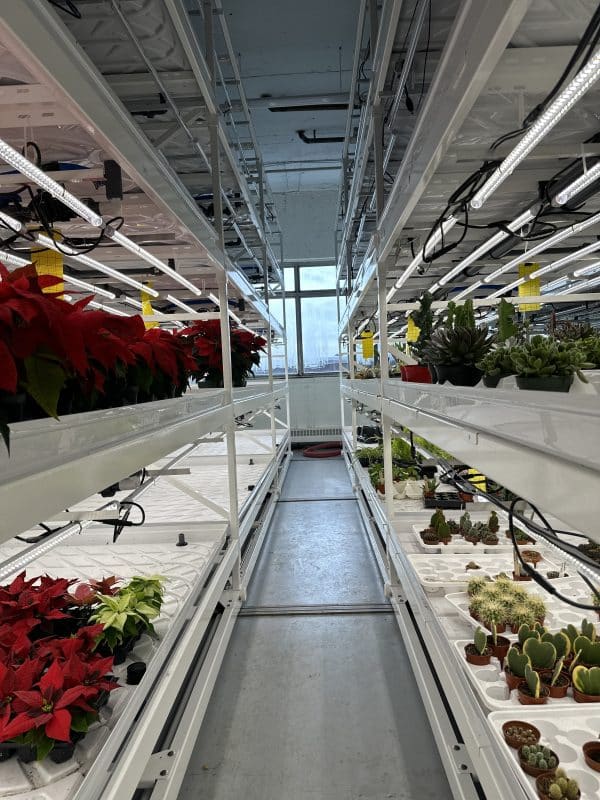 Mobile or fixed shelving system for indoor vertical cultivation - Image 4