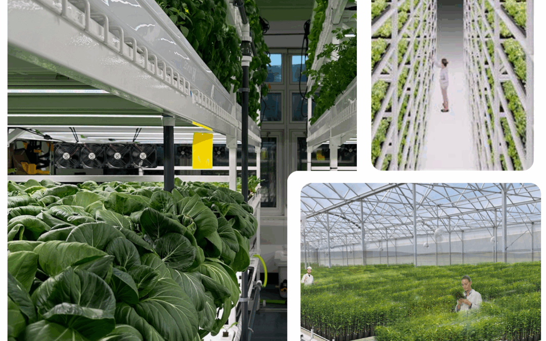 Agriculture verticale intérieure pour légumes: GREENRAK
