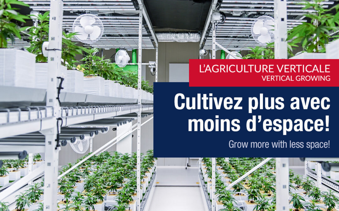 Comment maximiser sa production de culture intérieure du cannabis ? 🪴